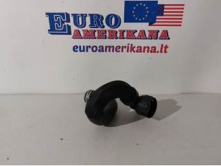 Upper Hose 